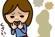 日本では、江戸時代に良家の女性のおならを自分の責任にする女性がいた！　【海外の反応】