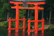 海外「毎日が思い出になった！」日本旅行で体験した最高の思い出に対する海外の反応