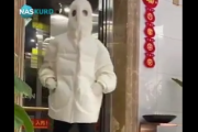 これぐらい対策が必要だ。中国でのコロナウィルス対策もここまできたか。海外の反応