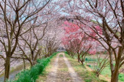 ※不真面目なフリートーク２※