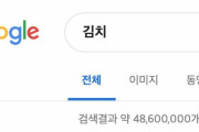 韓国人「日本人がキムチを日本の食べ物だと主張している？」グーグルで韓国語と日本語で「キムチ」と検索した結果　韓国の反応
