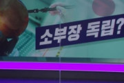 【韓国の反応】日本の朝日新聞「輸出制限は眠る韓国を起こした。」…韓国の反応「真の大韓民国の力であり、実現した政府を誇りに思う。」