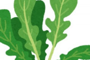 海外「何を隠してるんだ！」日本人が欧米風健康料理を食べないくせに健康な理由に欧米人が大騒ぎ
