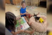 【海外】「小さな女の子たちが迷子の犬を家族と再会させた感動のストーリー！最高のご褒美とは？」