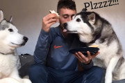 ２匹のハスキーに挟まれて食事をしていたらサンドイッチを少しだけかじられたのでやり返してみた。