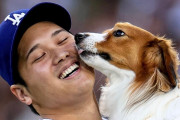 大谷翔平の愛犬デコピンが絵本になることに全米騒然！←「子供いないけど買うわ」（海外の反応）