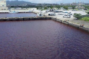 【韓国の反応】赤く染まった日本の沖縄の海…一体何が。韓国の反応「日本は今すぐ経済活動を中断しろ。/ウイルスは中国が作り、汚染水は日本が作る。」