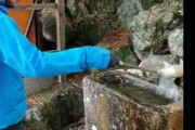 海外「高校時代の友人が日本の神社で水を撒いて不敬を働いている」