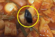 【吐気閲覧注意】トッポギから“丸ごとゴキブリ”騒動…韓国で「見逃すはずがない」と疑惑と不信が一気に広がる