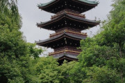 アメリカ人「政治で荒んでるみんなに日本の写真を見せていく！」