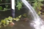 ハニー、ちゃんと水止めた？庭の水を止め忘れてちょっとした湖になって大惨事。海外の反応