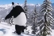 中国人「ミラノ五輪。日本人がこんなにスキーが得意だとは知らなかった」　中国人「実は雪国」「7歳が普通に上級コースを滑る国」