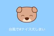 日本人の全ての命を大切にする姿勢が素晴らしい！「#ナイス犬しまい」がタイでも話題に！【タイ人の反応】