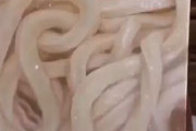 日本人が描いた釜揚げうどんの油絵がリアルすぎる(海外の反応)