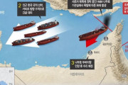 韓国人「ホルムズ海峡で韓国船が爆発炎上…イランの攻撃か？」「真実を話せない政府にうんざり」