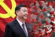 海外「過去数十年間で発生した主要ウイルスの少なくとも3つは中国発祥なのになぜ世界は無視しているんだ？」