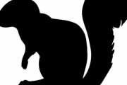 「世にも珍しい3色の毛並みを持つリスを目撃した…」パーツを雑にくっ付けたような見た目