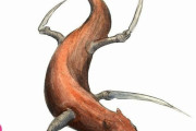 世界のバケモノをイラストにする海外絵師が話題　日本のあの妖怪もPart2