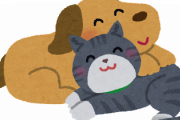 海外「猫好きな国と犬好きな国を比較してみた」（海外の反応）