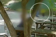 韓国人「2歳児を殴った男を警察が帰宅措置！？」無差別暴行に怒りの声