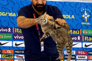 再び発動？2026年W杯ブラジル敗退で「猫の呪い」がネットで再燃