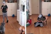 行方不明になっていた愛犬とのサプライズ再会！嬉し涙を流す男の子のリアクションに心打たれる