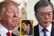 トランプ大統領が「文在寅は嘘つき‥あんな人間がどの様に大統領になったのだろうか？」「金正恩も韓国を見下している」と発言したらしい　韓国の反応