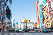 東京で遭遇した最も意外な野生動物って何？←「狸」「ハクビシン」(海外の反応)