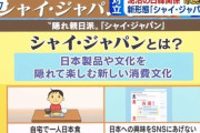 韓国人「やっぱり韓国人は日本が好きなんだな‥」誰にも知らずに日本製品を買い占める「シャイ・ジャパン」が増加し日本行き航空券が売り切れ！　韓国の反応