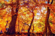 海外「魅惑の秋！木々の色彩が素晴らしいですね！」山梨県の紅葉（海外の反応）