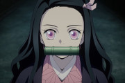 【海外】2019年夏アニメの人気ヒロインランキングTOP15！