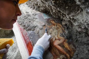 一夜にして滅んだ古代都市ポンペイで発掘された「飲食店」が美しいと話題に！ 約2千年前のものとは思えない保存状態！