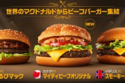 韓国人「日本人は詐欺と捏造の民族」日本人が「カルビ」と「タッカルビ」を日本料理と広報を始める！　韓国の反応