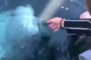 イルカ「これ、落としたよ」　海に落ちたスマホを拾って持ち主に返す親切なイルカさんが海外で話題に←知能高過ぎだろ　海外の反応
