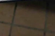 【画像】ヘビー・ディッツイ？