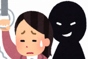 外国人「日本の電車にはこんなに色んな種類の痴漢がいるらしい…」