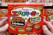 海外「日本に行ったらお菓子は何でも気に入りそう！」日本のユニークお菓子の数々を紹介した動画に興味津々