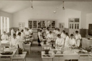 韓国人「日本が韓国を占領していた時代の写真を見てみよう」