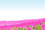 奥さんを助けるために芝桜を数千本植えた日本人男性　“この手の愛が私にも見つかりますように”　【海外の反応】