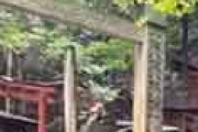 海外「これは素敵だ！」日本の早朝の廃神社がとても魅力的だと話題に