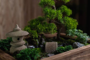海外「日本の男性が何かを作り始めると、それが素晴らしくて落ち着いた物になるって知ってるんだ」『アクアテラリウム』和風の箱庭を作る動画に外国人が興味津々！