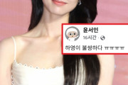 親日論争のハヨンを極右漫画家が擁護、韓国では「認証マークが付いた」と逆効果に