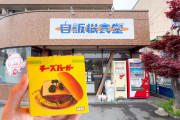 外国人「日本の自販機ってやっぱ最高だわ。俺の国じゃ自販機置けないし・・・」