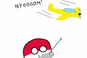 【日本】ラジコン飛行機【ポーランドボール】