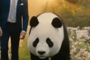中国人「この世界は日本と西洋諸国の巨大な相思相愛でできている」　中国人「日本はピカチュウ」「中国人もSNSに接続出来たら・・」