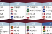 韓国人「W杯韓国代表、日本の組を羨ましく感じてしまう」「……？」