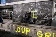 海外「フランスがトルコの極右過激派グループ『灰色の狼』を禁止にする」→「そもそもなんでフランスにいるんだ？」