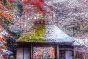 海外「何て色鮮やかで美しいんだ！やはり京都はいいね！」紅葉と雪のコラボが美しい（海外の反応）