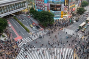 韓国人「日本は先進国なのですか？」韓国は政治先進国なのでしょうか？　韓国の反応