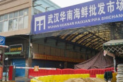 野生動物を食べる中国人たち…伝染病の温床になった違法売買現場＝韓国の反応